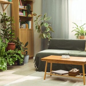 Indoor Plants Decorating Modern Living Room for Sustainable Lifestyle