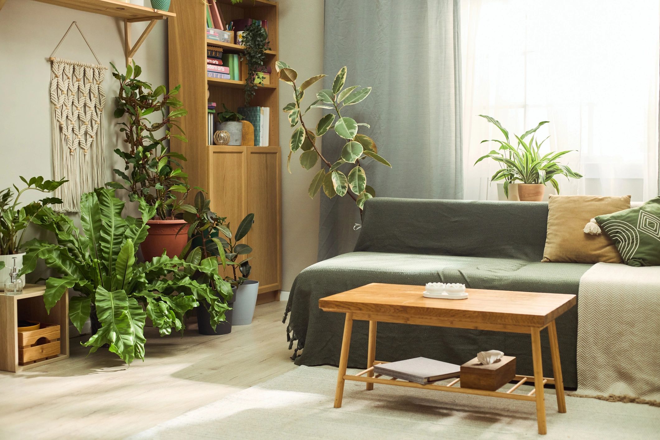 Indoor Plants Decorating Modern Living Room for Sustainable Lifestyle